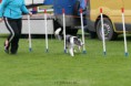 /album/fotogallerij/gorinhem-05-05-23-jpg/